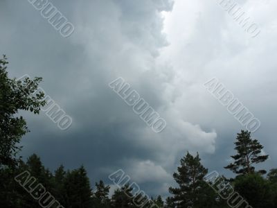 Storm clouds over the forest. Backlight Storm clouds over the forest. Backlight