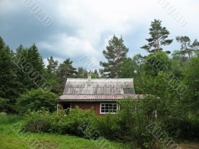 Cottage in the woods. Cloudy day Cottage in the woods. Cloudy day
