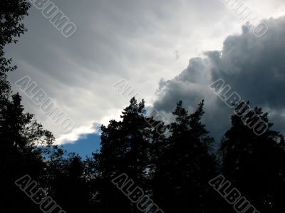 Storm clouds over the forest. Backlight Storm clouds over the forest. Backlight
