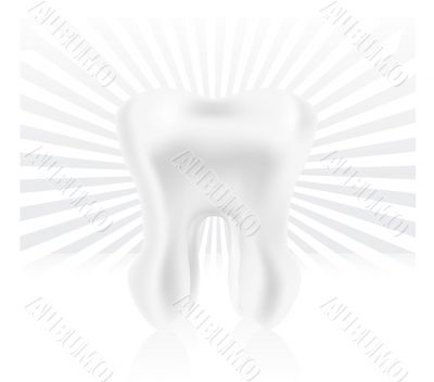photo-realistic tooth 