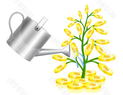 Money tree