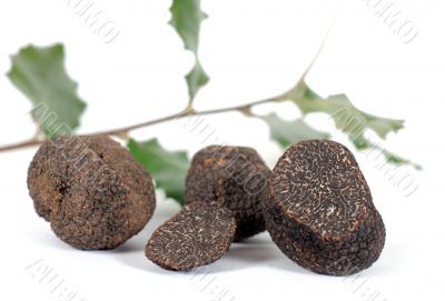 truffles