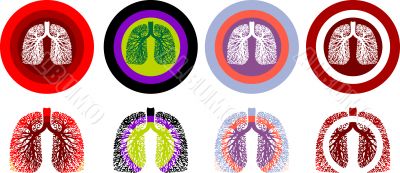 Lung Anatomy, human medical illustration, emblem, scheme, Illnes