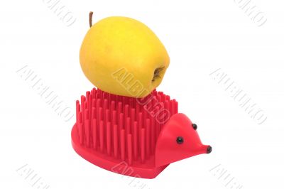 Hedgehog and apple Hedgehog and apple