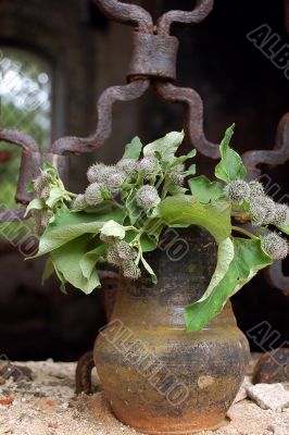 Flowerpot In The Grilled Window Background