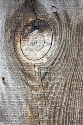 Old  wood texture.