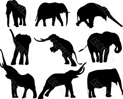 vector silhouettes of elephants