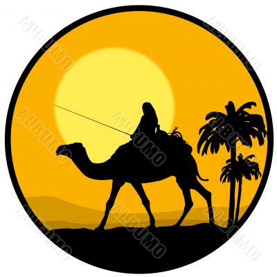 desert, sunset and the camel