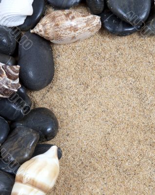 Nice sea shells on the sandy beach taken closeup, Shell border or frame