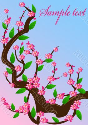 background cherry blossom