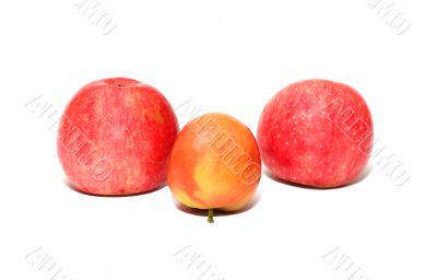 Apple. Apple.