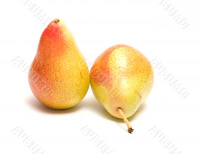 Pears. Pears.