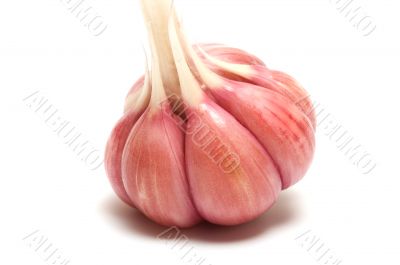 Garlic. Garlic.