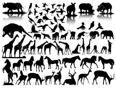 vector silhouettes of wildlife