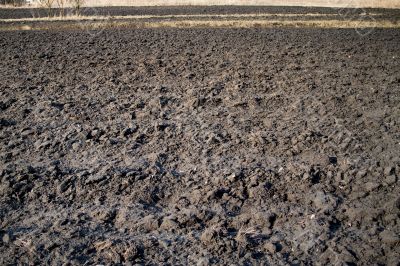 Plowed Field In Spring