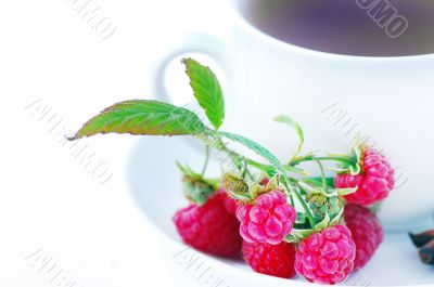  raspberry tea