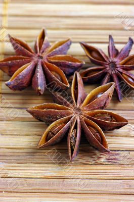 Truestar spices on the mat