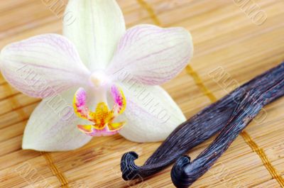 Orchid with vanilla beans on the mat