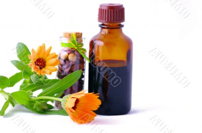 Herbal medicine with herbs . Isolated white background. Studio s