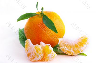 Tangerine with leaves on a white background