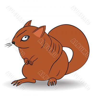 angry squirrel - vector