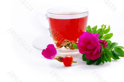 Herbal tea in cup of glass with dog-rose flowers on a white back