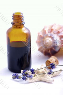 Herbal medicine with herbs and marine animals . Isolated white b