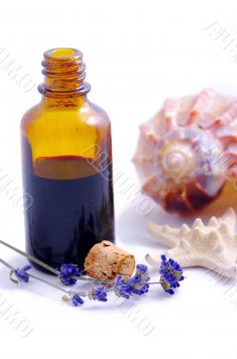 Herbal medicine with herbs and marine animals 