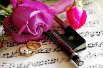 Gold wedding rings and pink rose on the note