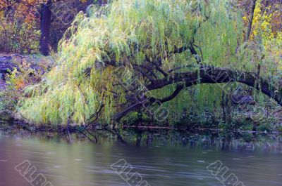 Landscape with wooden river in autumn forest 