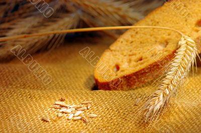 bread and wheat ears 
