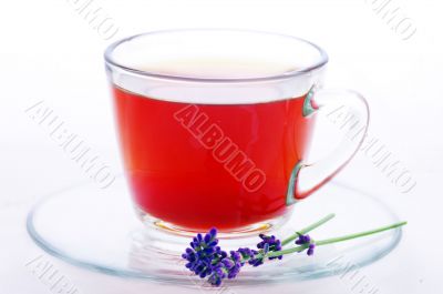 cup of herbal tea with flowers isolated on white 