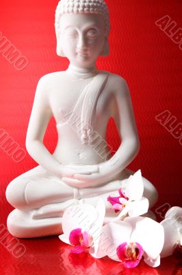 buddha figure with a Orichdee