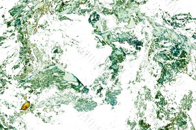 Dry wood texture abstract