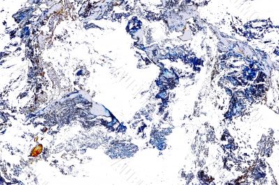 Dry wood texture abstract