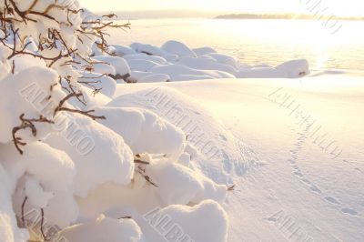 Winter sea landscape