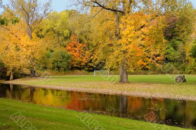 Fall Foliage