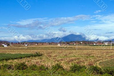 a beautiful rural landscape on a bright sunny day