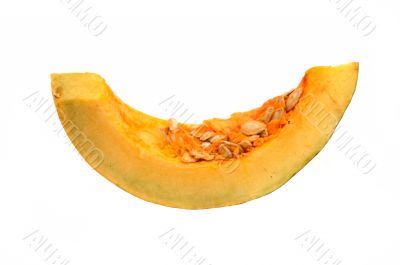 Squash Squash
