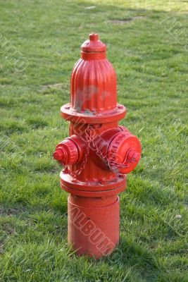 Fire Hydrant