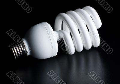 compact fluorescent light bulb