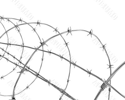 Barbed wire closeup 