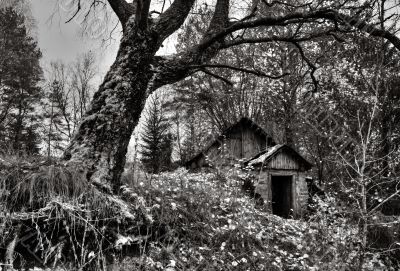 November on farm Garavishki.