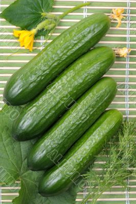 Cucumbers Cucumbers