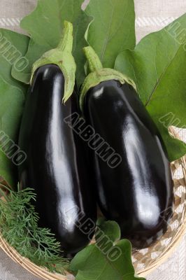 Eggplants.