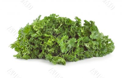 Parsley Parsley