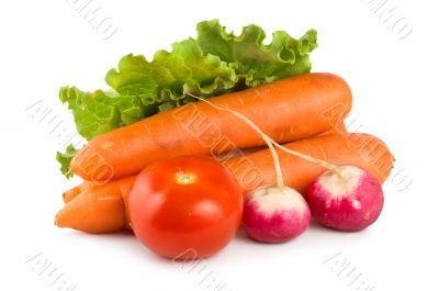 Fresh vegetables isolated on white