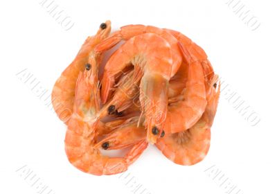 Boiled shrimps Boiled shrimps