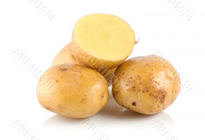 Four potatoes isolated Four potatoes isolated