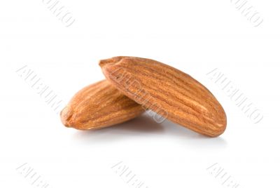 Two almond Two almond